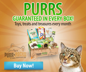 Purrs Box - Square