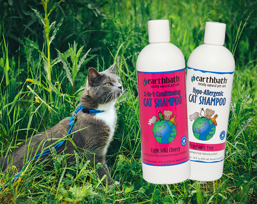 The Kitty Cleanup Helper: Earthbath Natural Cat Shampoo